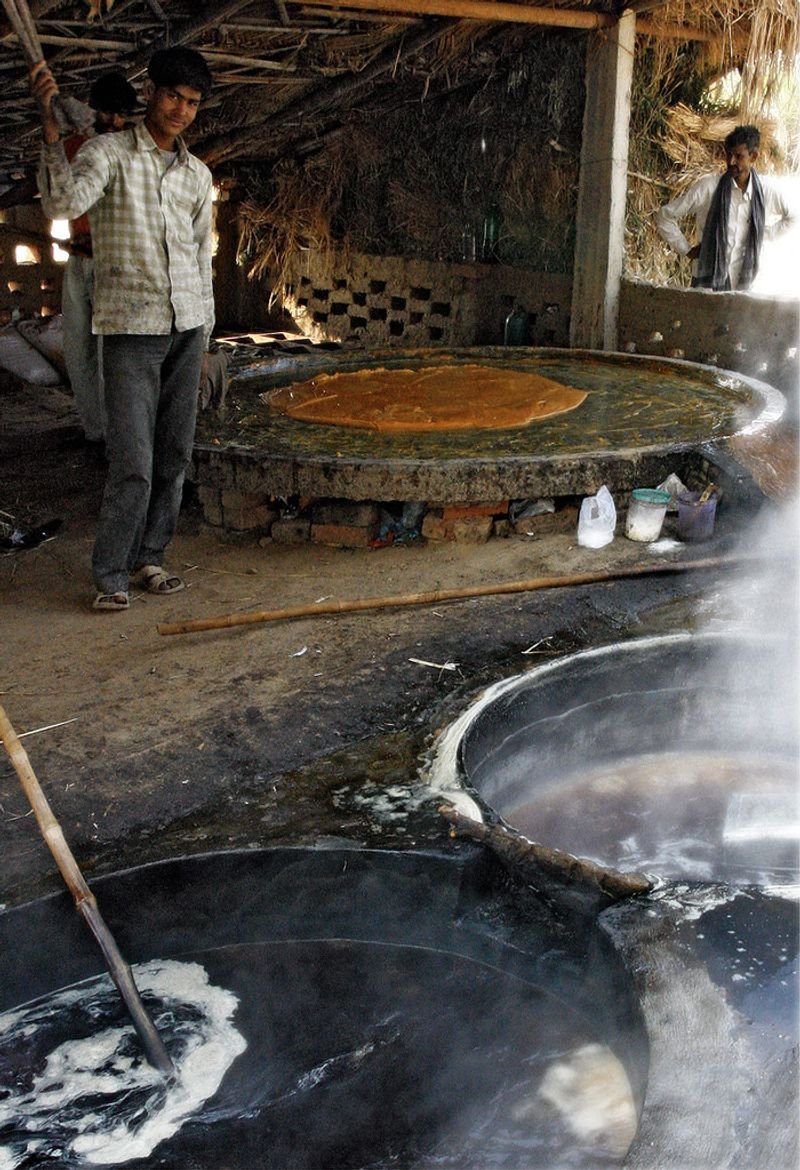 resources of cane jaggery exporters