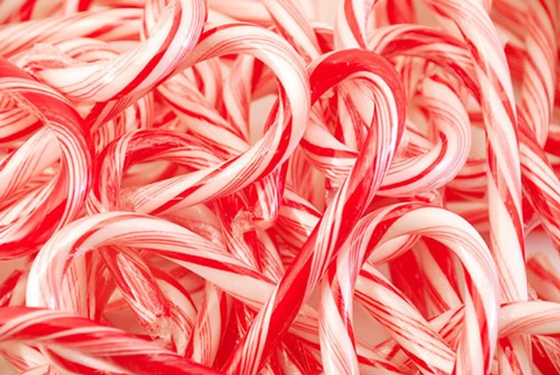 resources of 12 count candy cane exporters