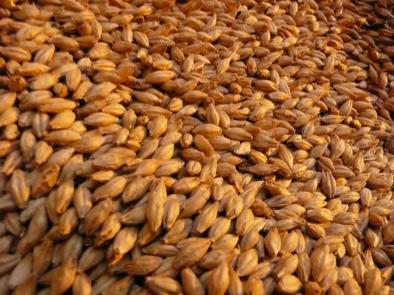 resources of Quality Milling Wheat Grains exporters