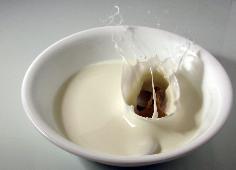resources of Milk fresh exporters