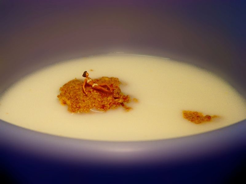 resources of 100% Pure Thailand Milk exporters