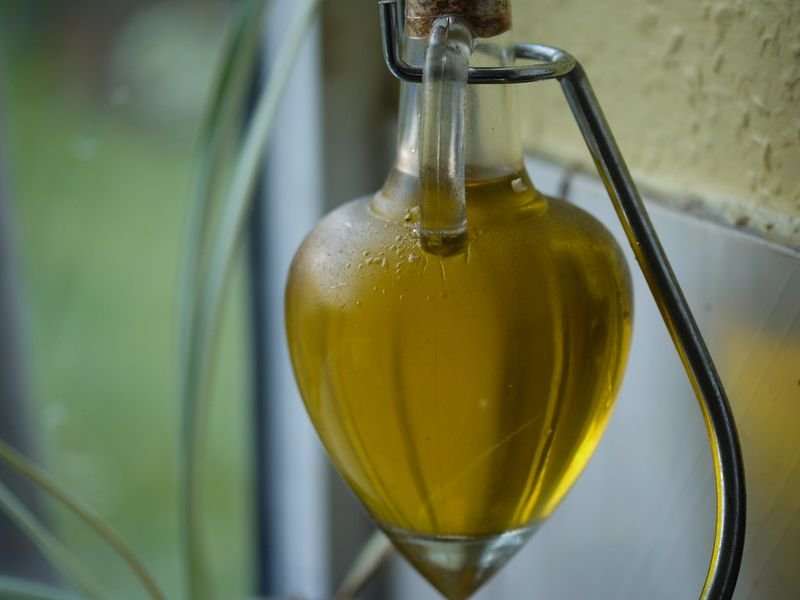 resources of Biodiesel Oil exporters