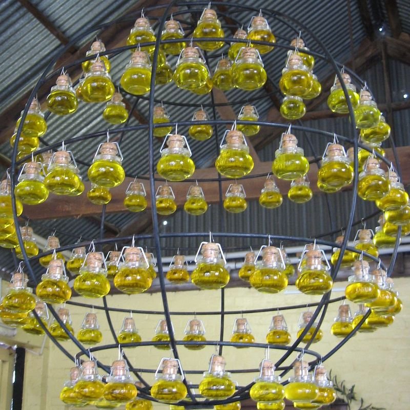 resources of Agriculture Nets For Olives exporters
