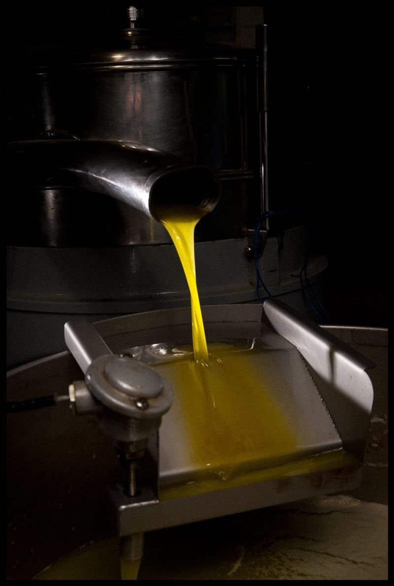 resources of pure and organic virgin olive oiL exporters resources of pure and organic virgin olive oiL exporters