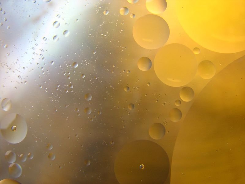 resources of Bulk cooking olive oil price/olive oil for sale exporters