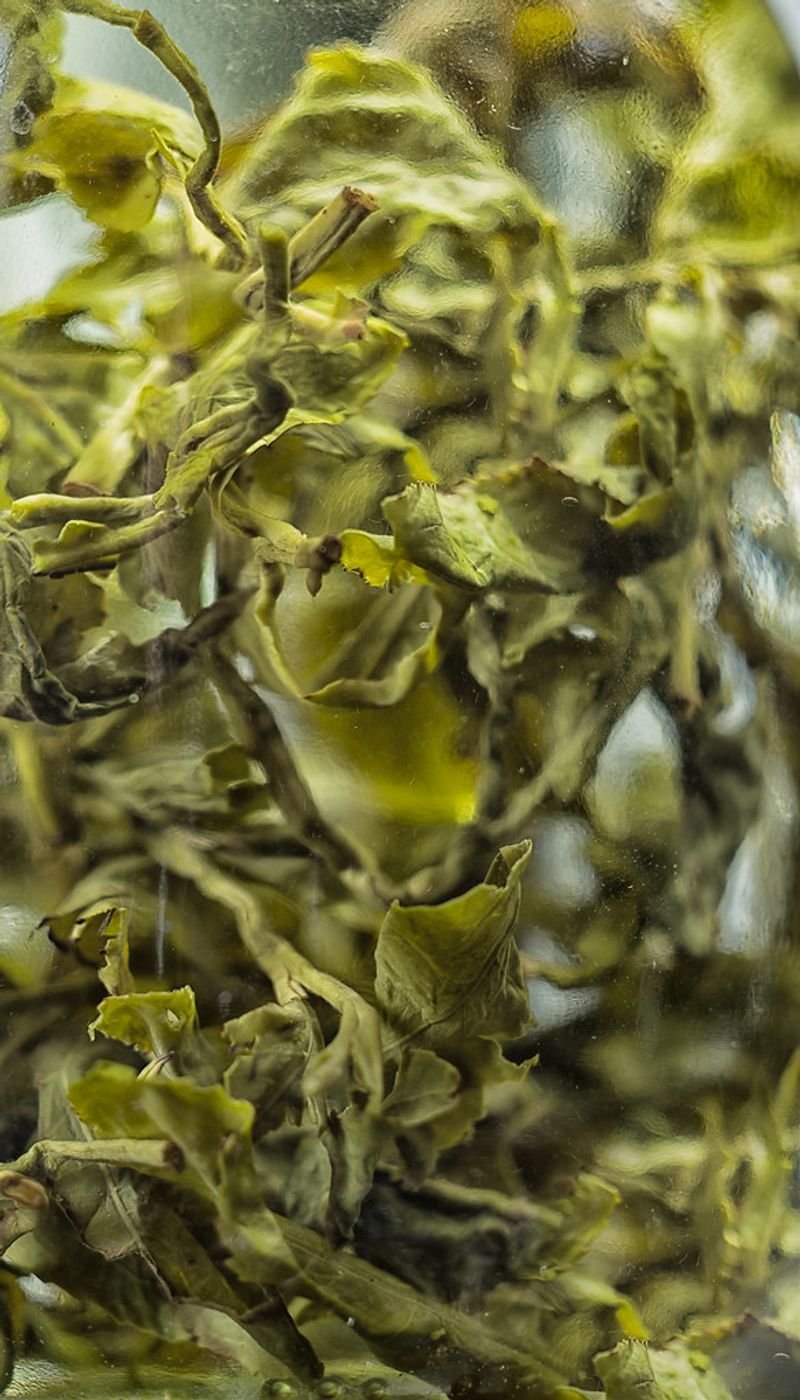 resources of Chinese Green Tea Tea Bag In A Box exporters