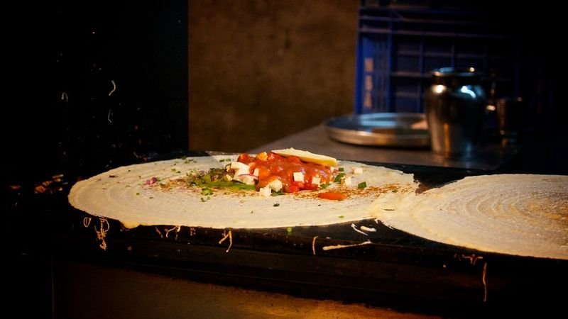 resources of Paneer doda exporters