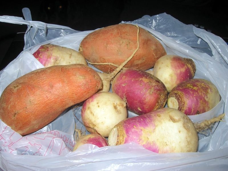 resources of Sweet potatoes exporters