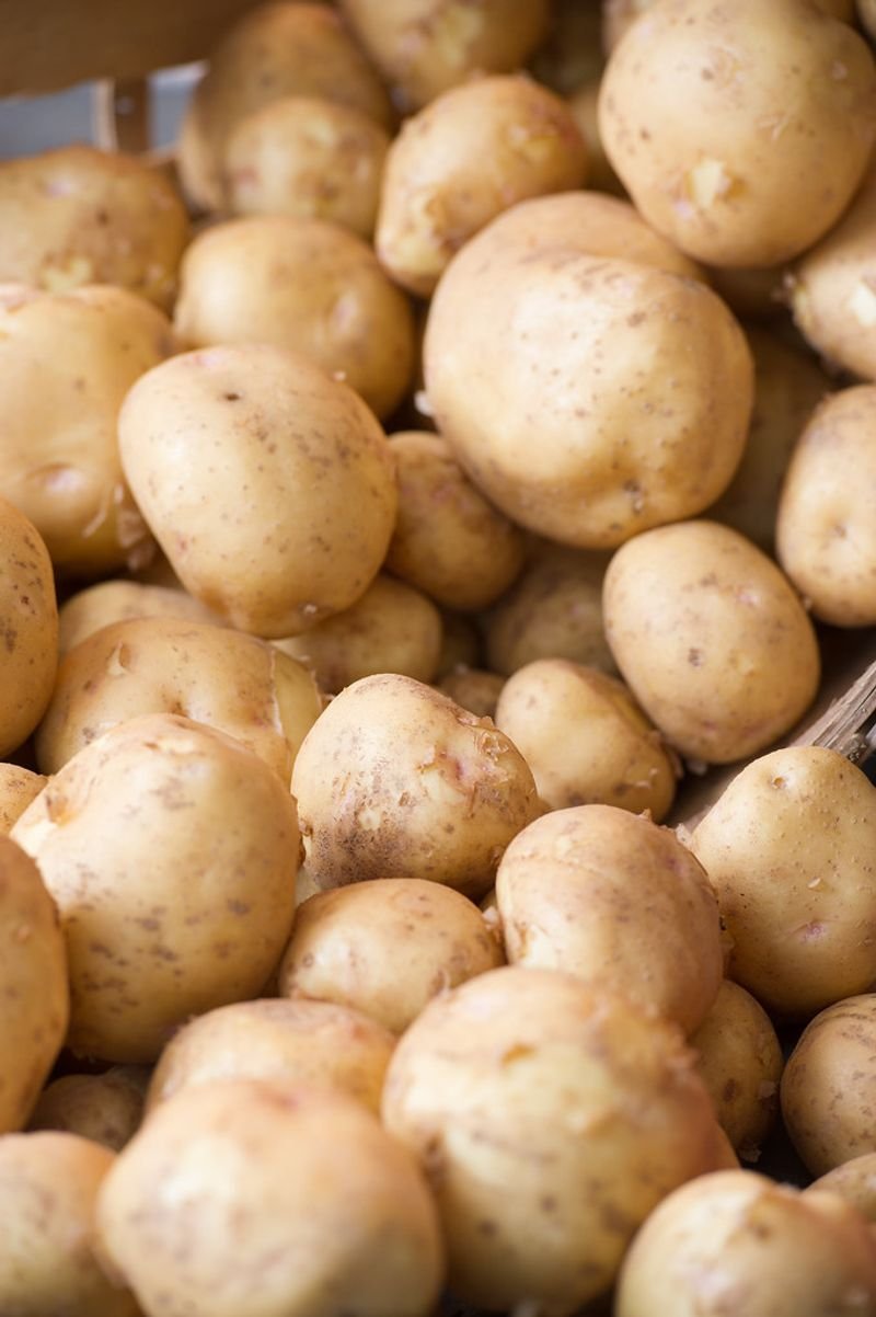 resources of Potatoes exporters
