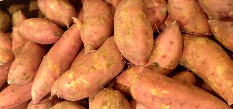 resources of Fresh sweet potatoes exporters