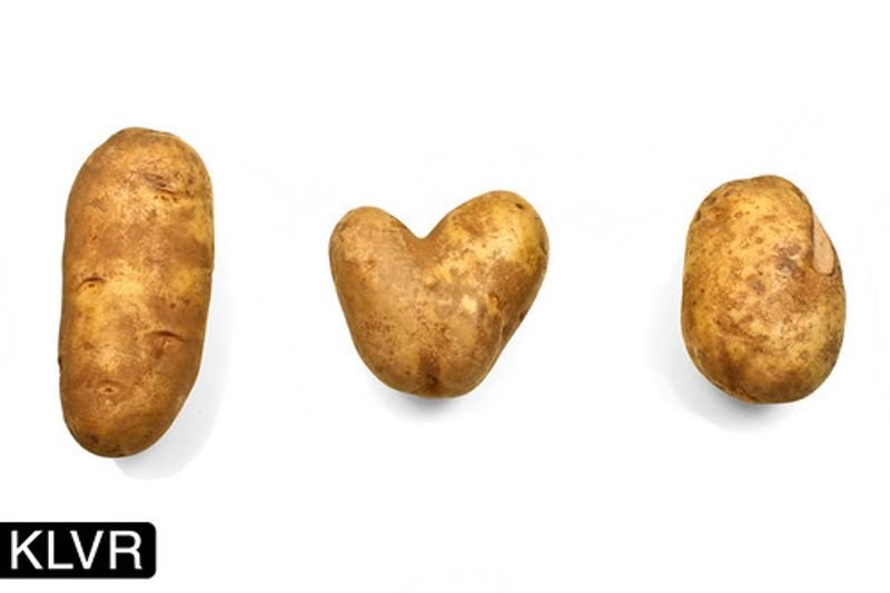 resources of Potato exporters resources of Potato exporters