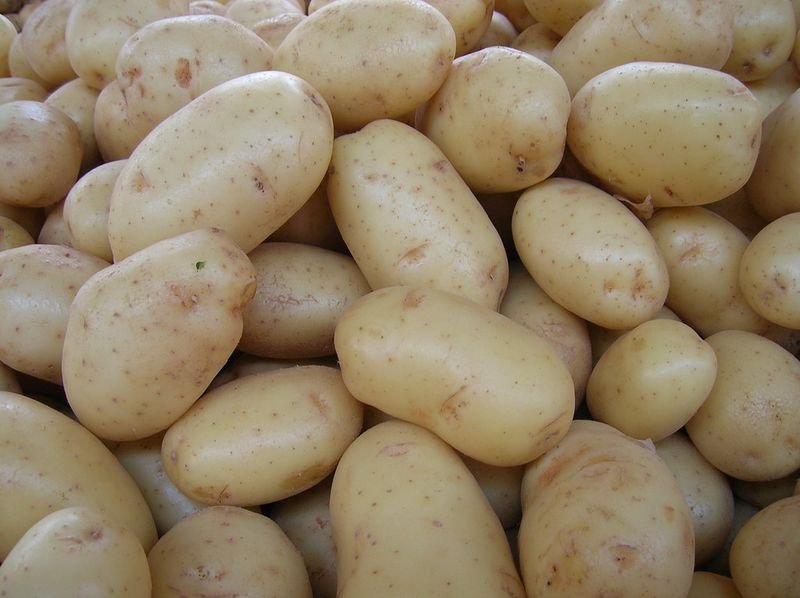resources of Potato exporters
