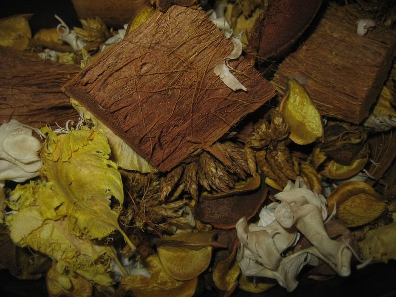 resources of Common Oak, Bark, Dried exporters
