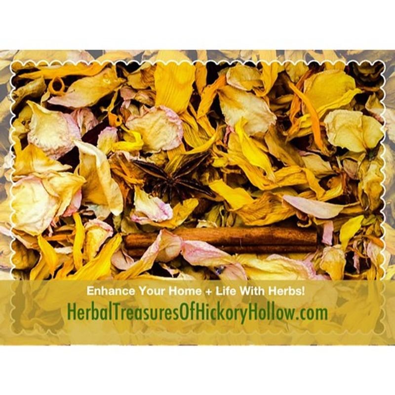 resources of Yellow Pond Lily, Root, Dried exporters resources of Yellow Pond Lily, Root, Dried exporters
