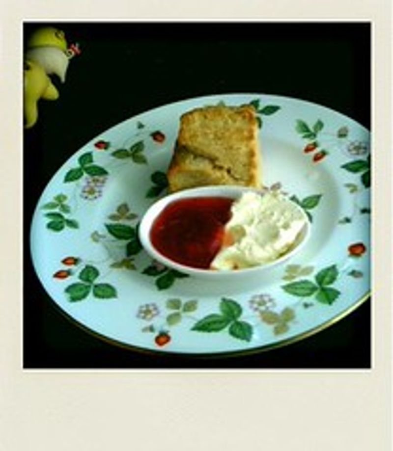 resources of Sandwich Chutney exporters resources of Sandwich Chutney exporters