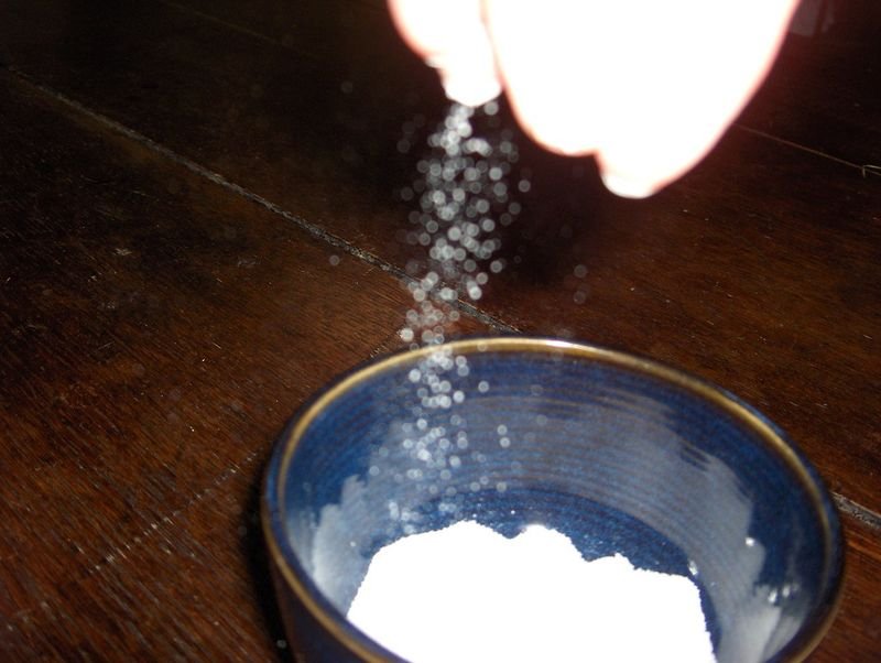 resources of Pure Salt exporters