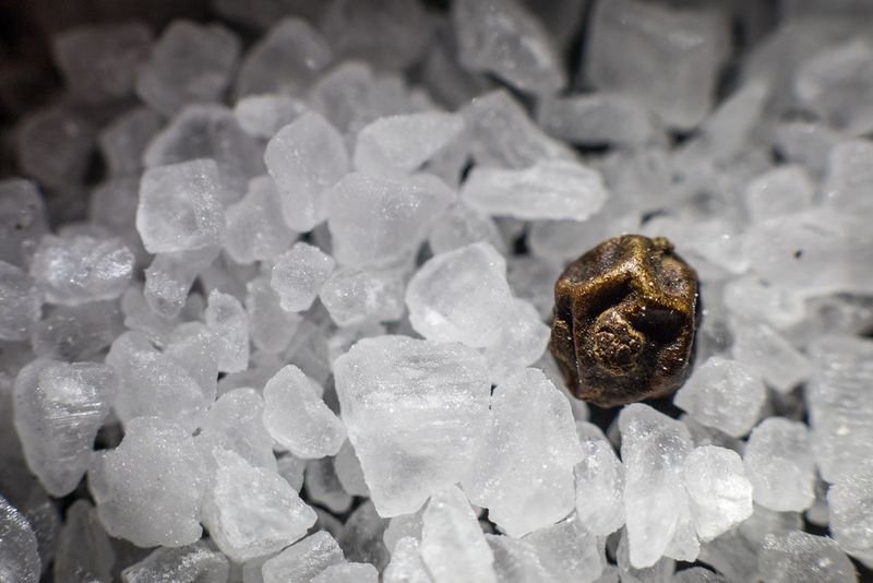 resources of Frozen Mystus exporters