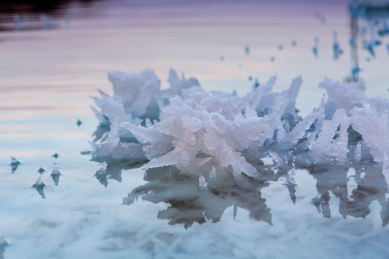 resources of Iodised salt exporters