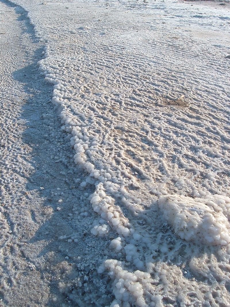 resources of Frozen Mystus exporters