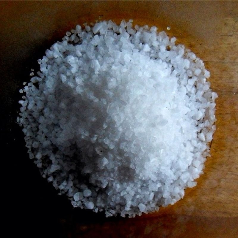 resources of Sea salt exporters
