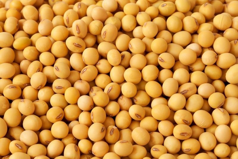 resources of Soya oil exporters