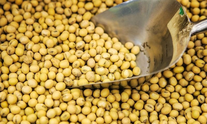 resources of Soybean Meal exporters