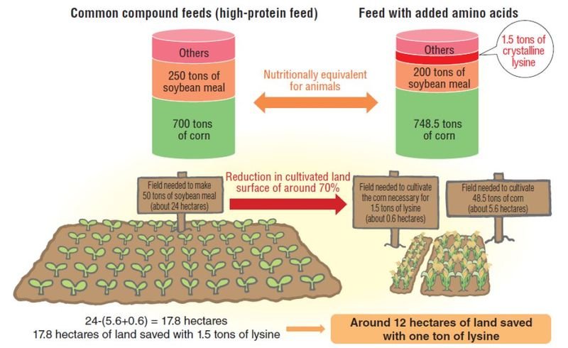 resources of Emu Layer Feed exporters