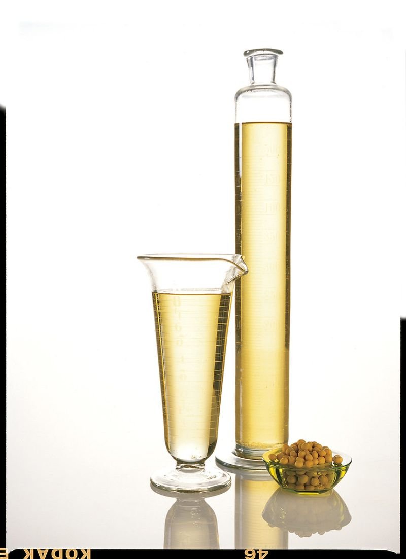 resources of Chamomile Oil exporters