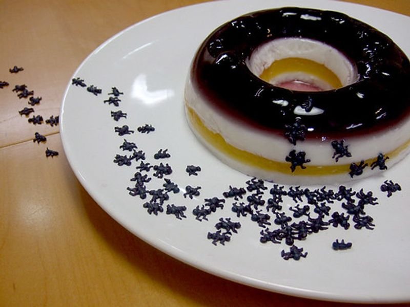 resources of Liquid Caviar exporters