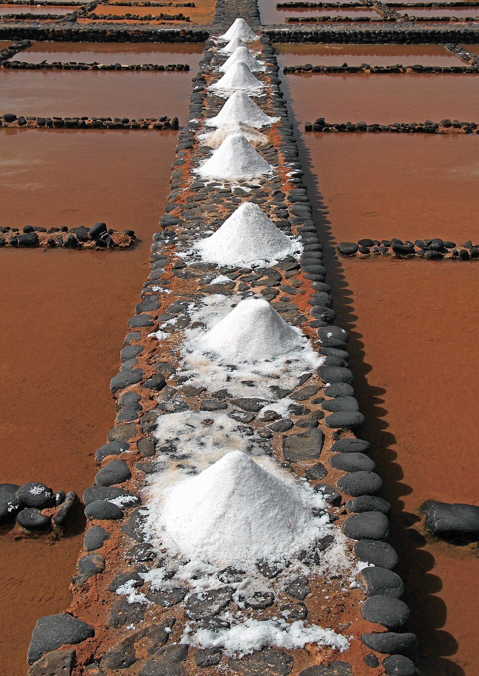 resources of Sal Royal (25kg) | From Table to Coarse Salt exporters