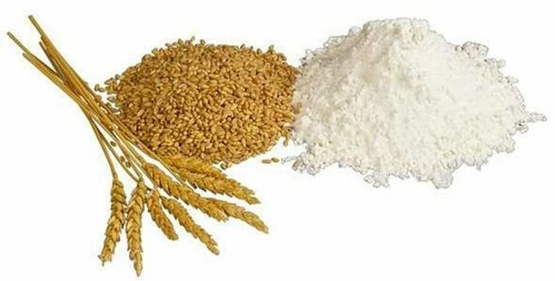 resources of Organic Refined Wheat Flour exporters