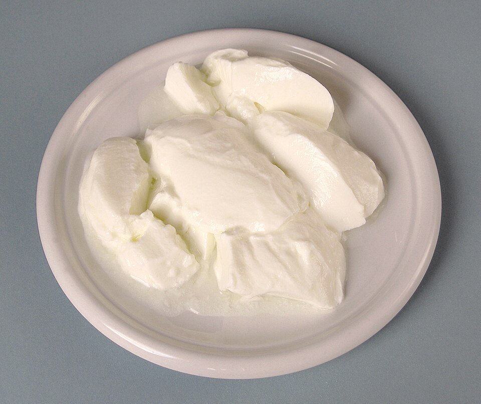 resources of Yogurt Powder exporters