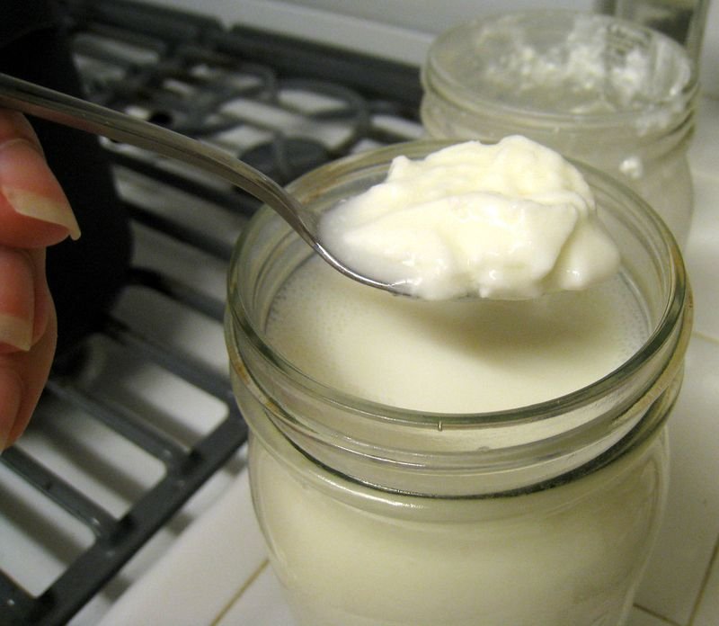 resources of Fresh Milk Cream exporters