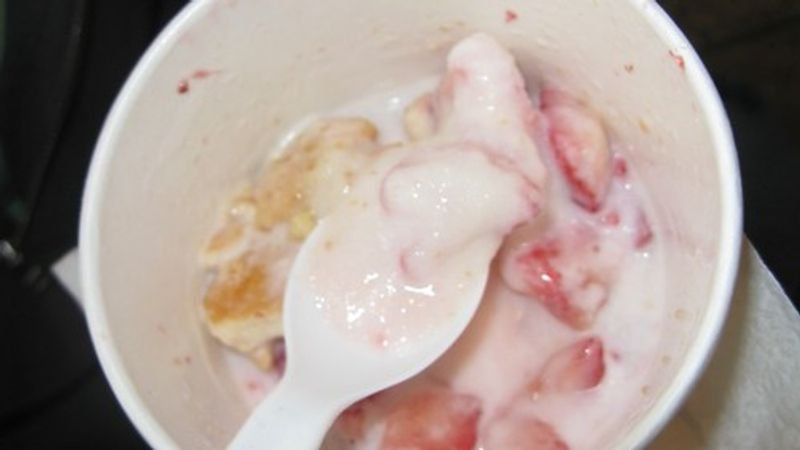 resources of Yogurt Starch Angel-Curia exporters