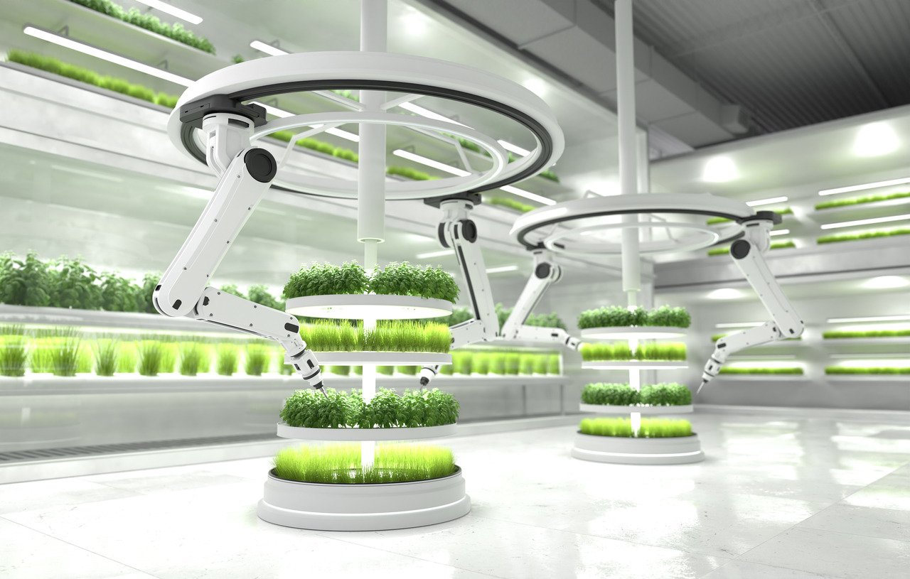 resources of Myko-inn for commercial farming exporters