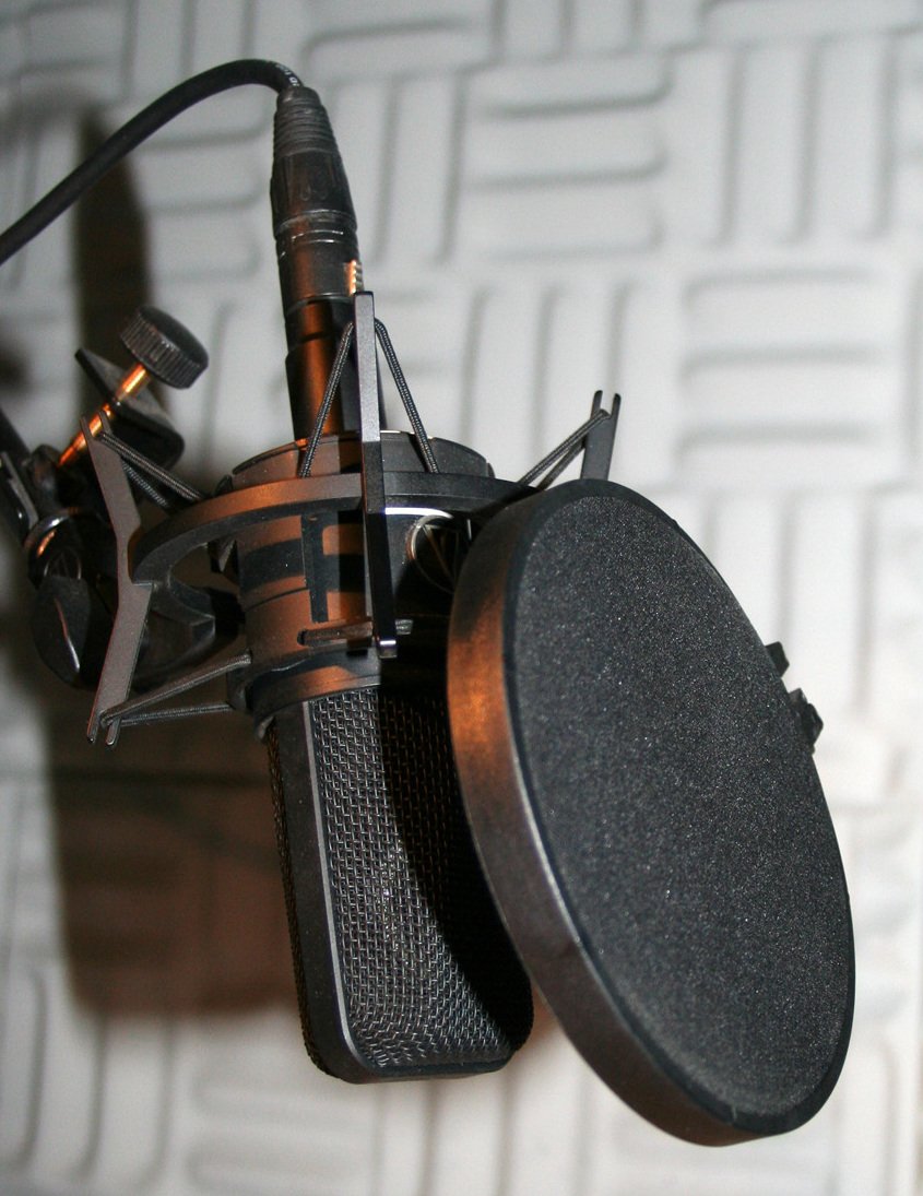 resources of On-ear Headphones with Microphone - THP250 exporters