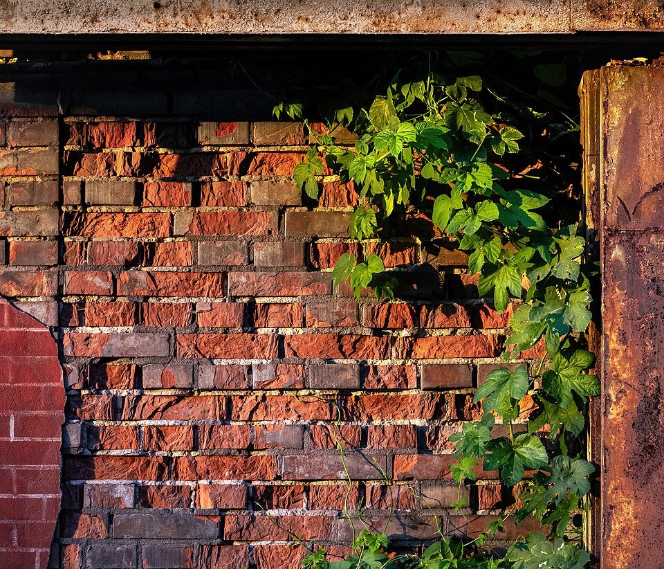 resources of FIRE BRICKS exporters