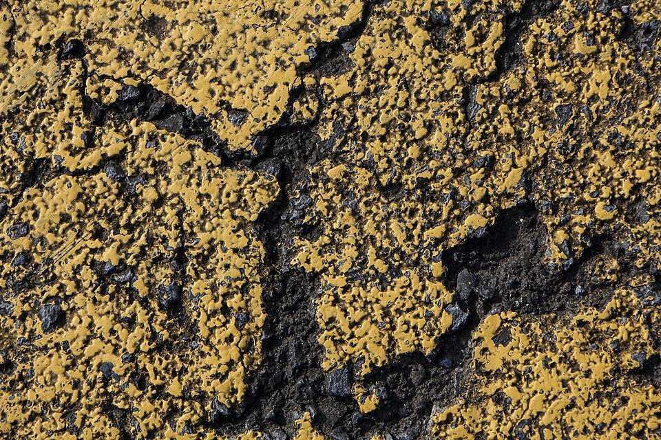 resources of Amarillo Fosil stone exporters