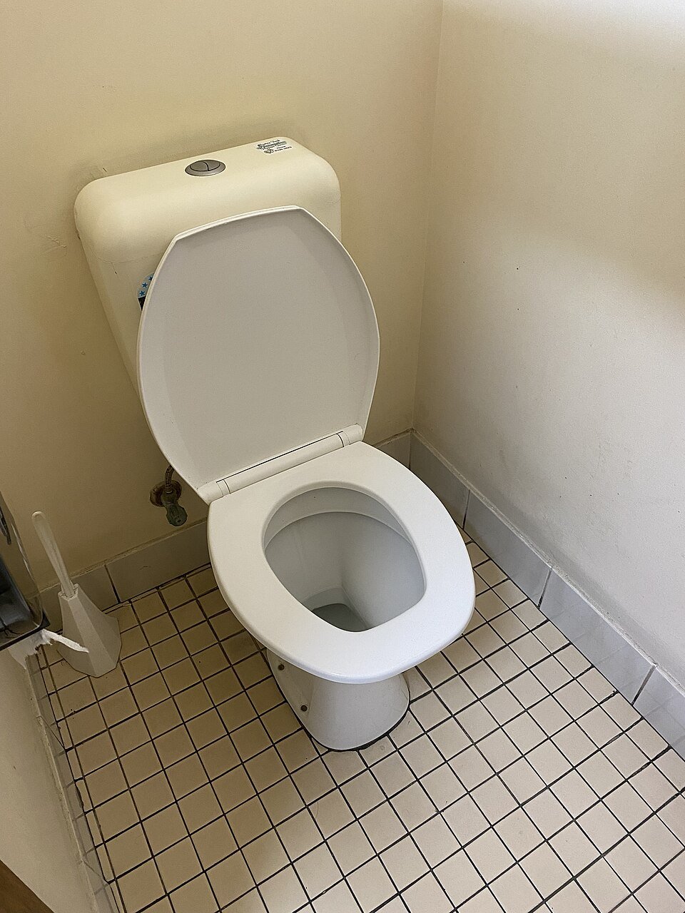 resources of Plastic baby toilet seat exporters