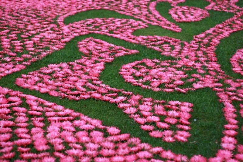 resources of Suzani Carpet exporters