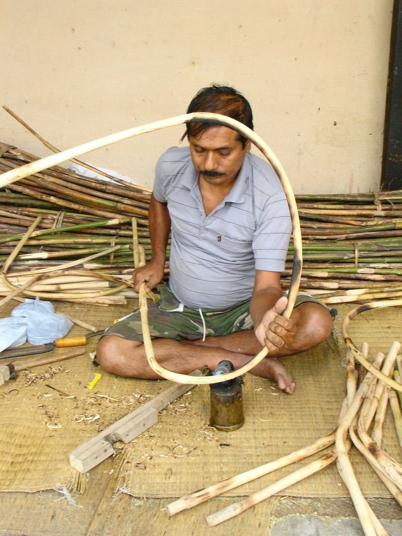 resources of Cane Planter With Stand - Medium (CPS102) exporters resources of Cane Planter With Stand - Medium (CPS102) exporters