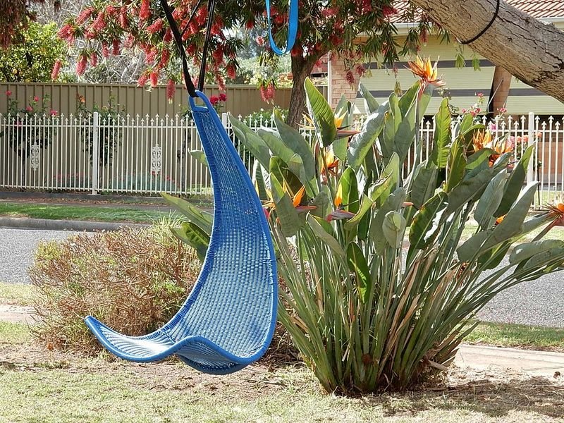 resources of Warraa SC 11 Reinforced Canvas Hammock exporters