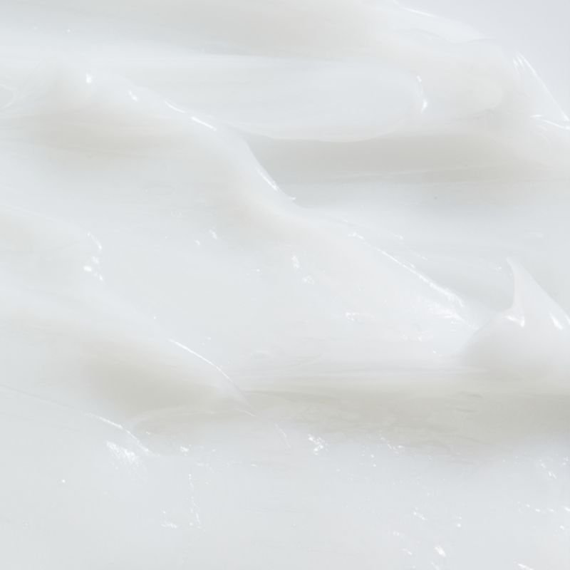 resources of Dry Milk exporters