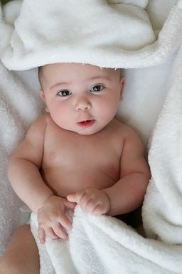 resources of Towels exporters