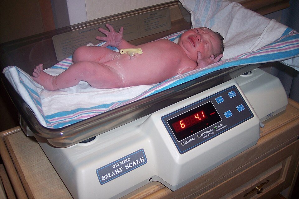 resources of Baby Scale exporters