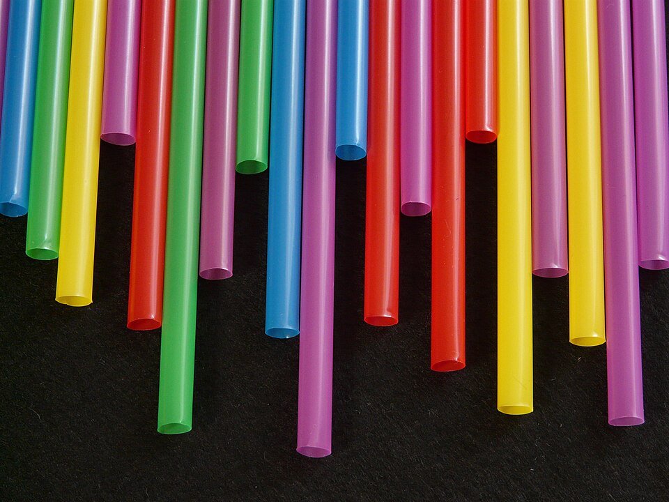 resources of Disposable Biodegradable Bamboo Pulp Straws - Eco-Friendly, Compostable Drinking Straws for Businesses exporters