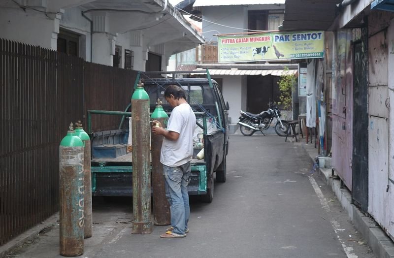 resources of Sugar cane juice exporters