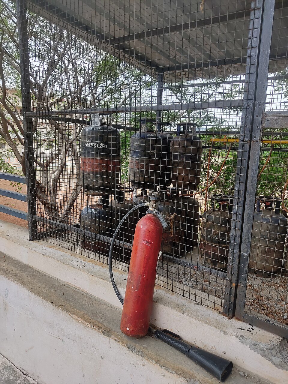 resources of Cylinder 1St (47701) exporters