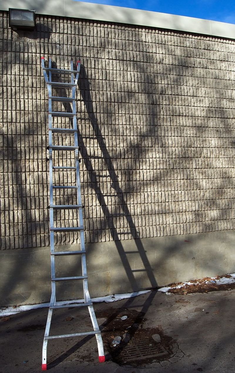 resources of Vietnam Bamboo Ladder/bamboo Tower Ladder exporters