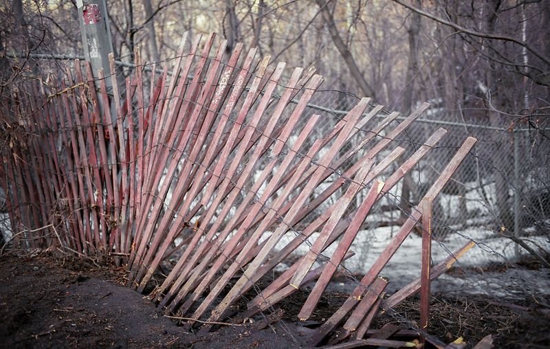 resources of Bird spikes exporters